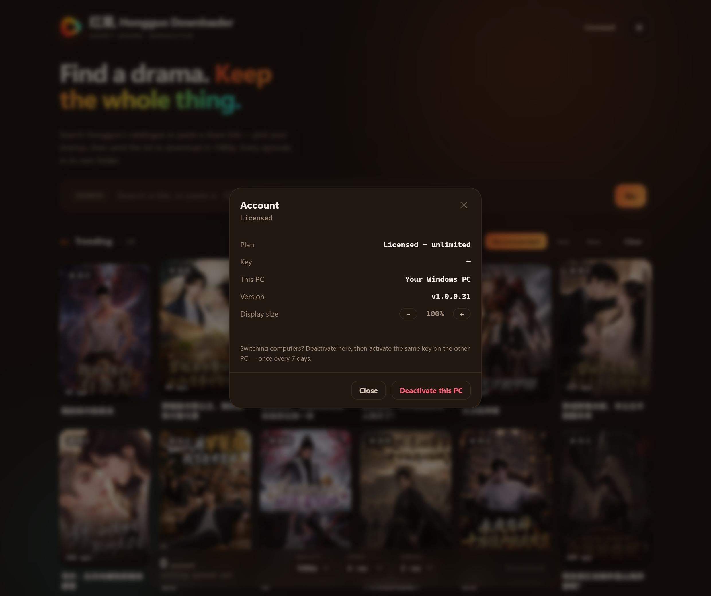 Hongguo Downloader Account panel showing the Display size control with minus and plus buttons next to a 100% value (dark theme)