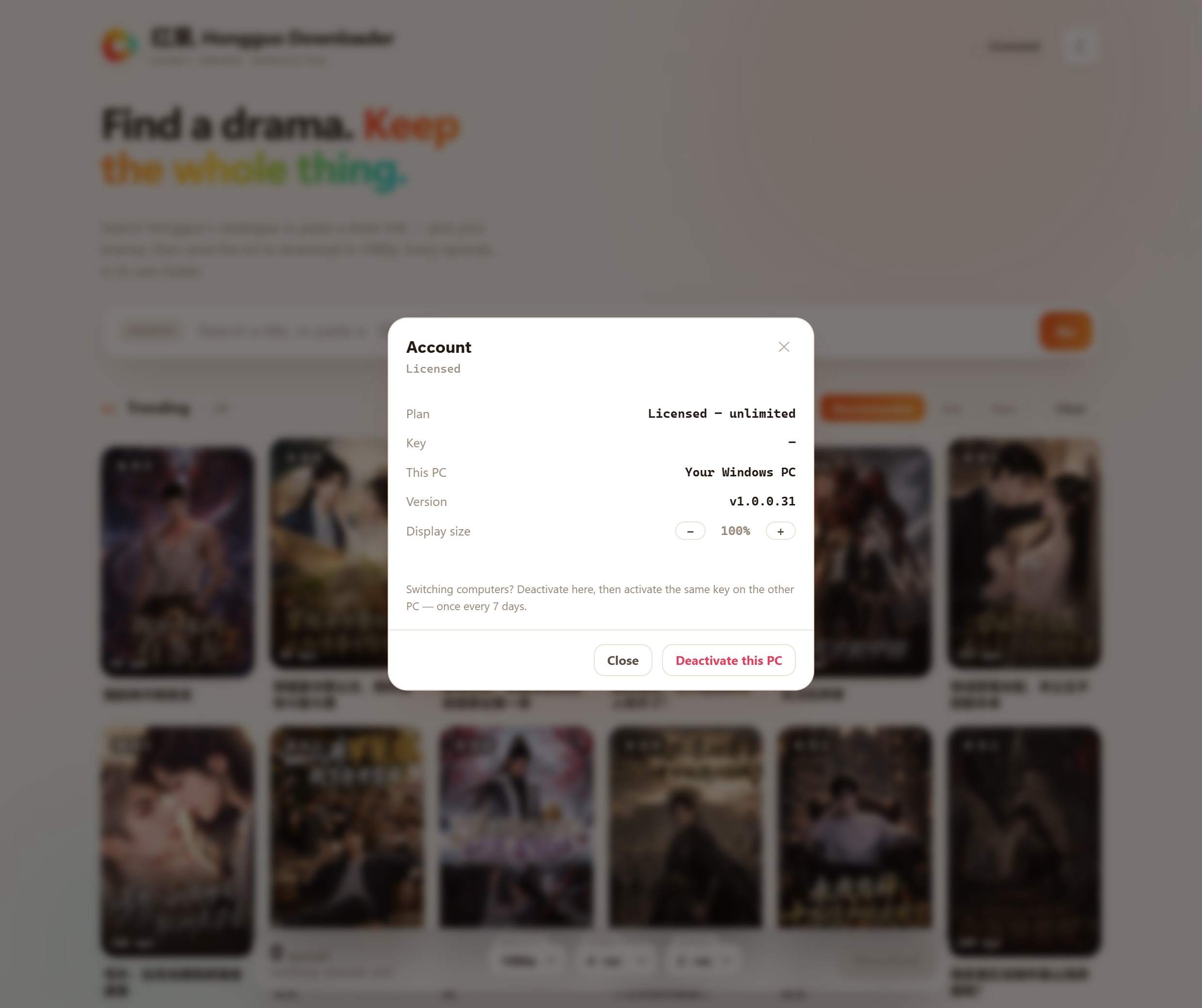 Hongguo Downloader Account panel showing the Display size control with minus and plus buttons next to a 100% value (light theme)